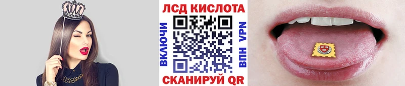 дарнет шоп Невинномысск Марки 25I-NBOMe 1,8мг
