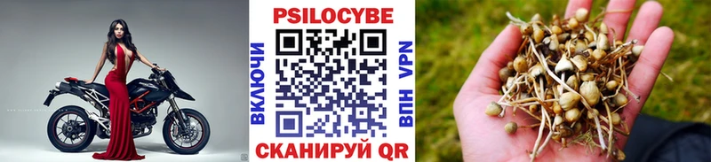 Галлюциногенные грибы Psilocybine cubensis  купить   Невинномысск 